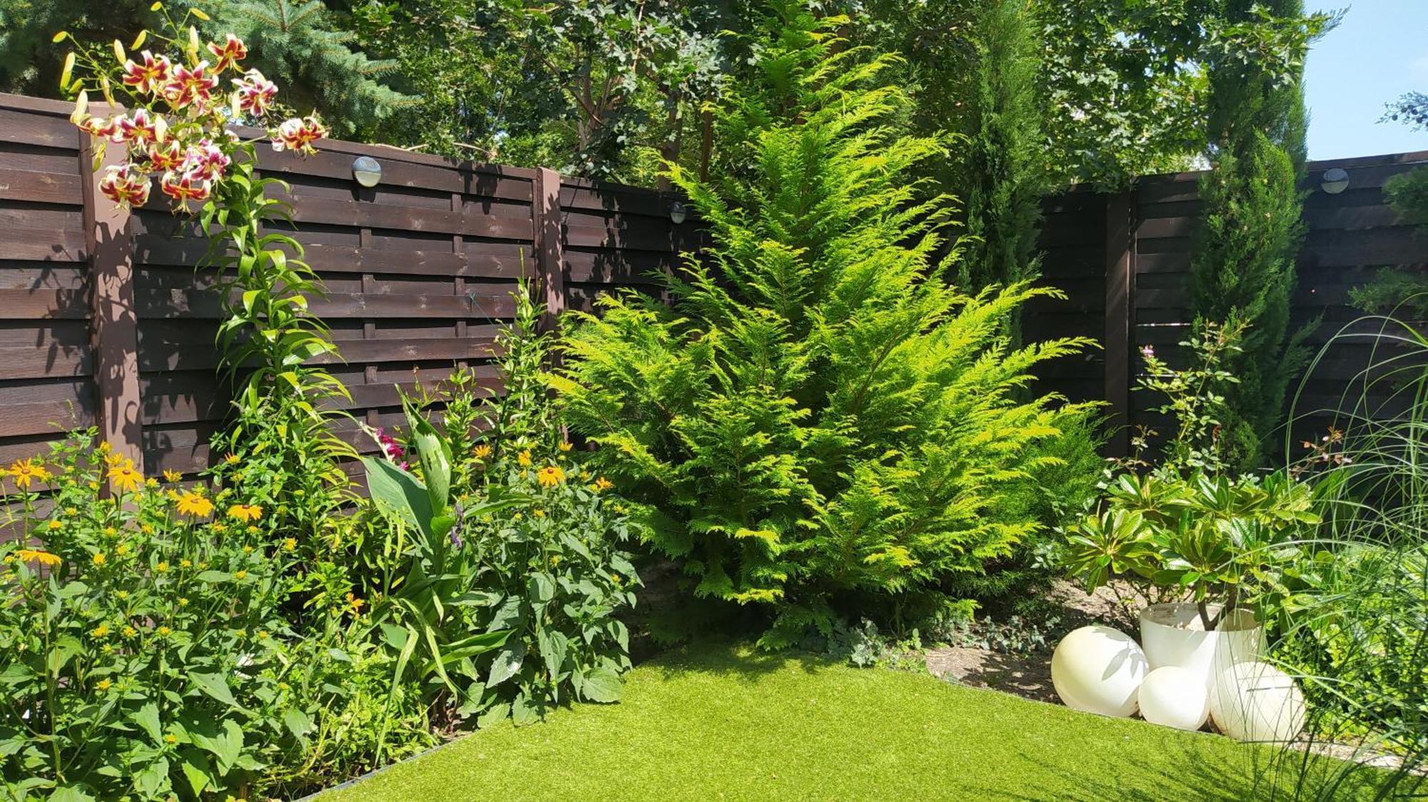 Thermal Garden Mosonmagyaróvár 외부 사진