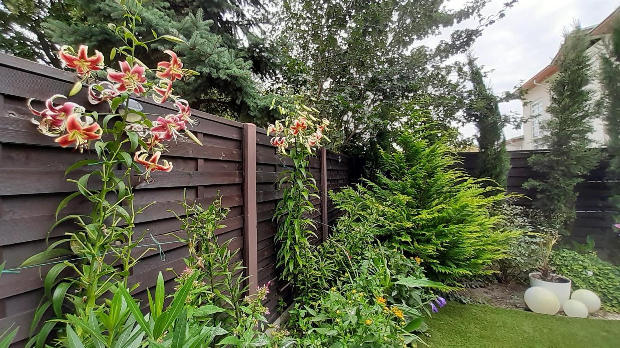 Thermal Garden Mosonmagyaróvár 외부 사진